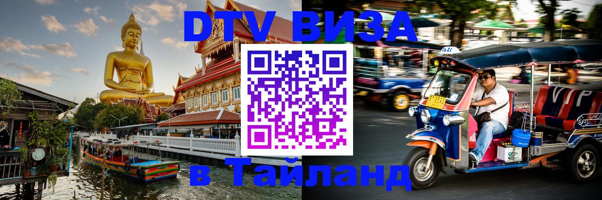 Сколько стоит DTV виза — актуальные цены, оформление даже без документов - 19.11.2025 